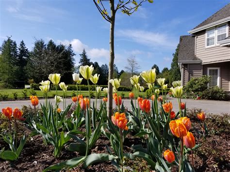 Memorial Tree Burials at Heritage Gardens. Love Grows. - Heritage ...