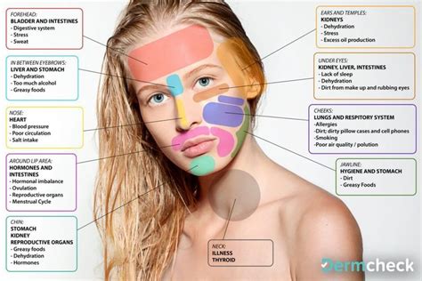 chinese acne face map blemishes spots how to see location what it means inside body # ...