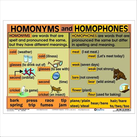 Pin on English language | English language teaching, Homonyms, Homophones