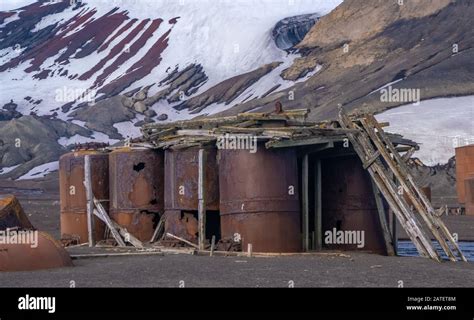 Ruined remains of a historical whaling station destroyed by a volcano ...