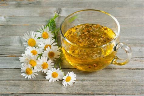 The Beautiful Benefits of Chamomile Tea for Relaxing - Beautiful Souls Life