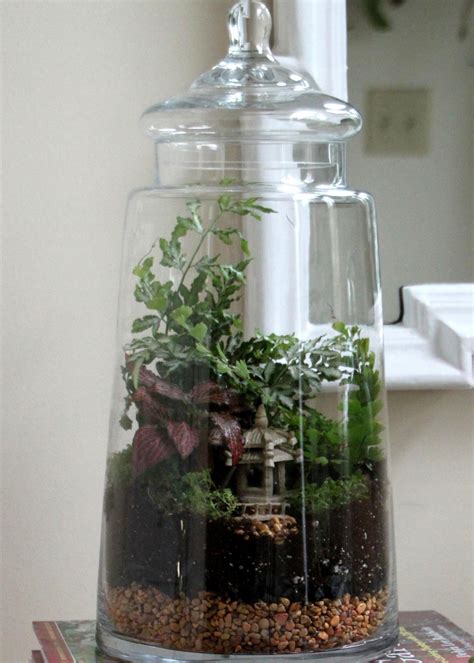 Easy Steps for Creating a Terrarium | HGTV