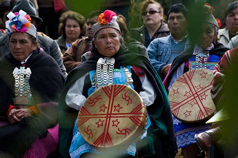 Mapuche Pictures, Images and Stock Photos - iStock