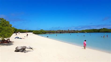 Galapagos Beach at Tortuga Bay (Santa Cruz) - Qué saber antes de ir - Lo más comentado por la ...