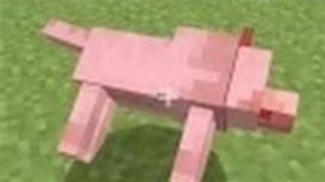 Petition · Add dog armor to Minecraft · Change.org