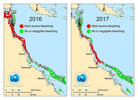 Great Barrier Reef MAPPED: latest images of devastating coral bleaching | Nature | News ...