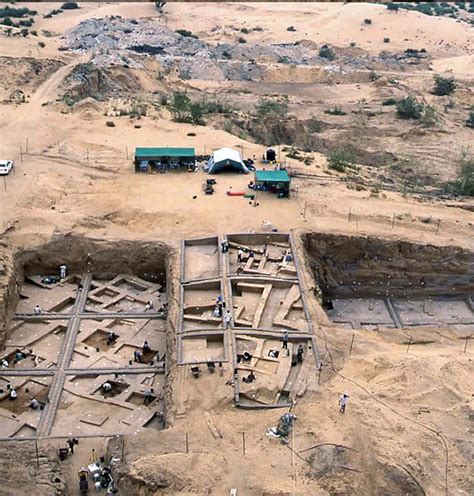 Gaza Buries its Ruins under Buildings and Farms