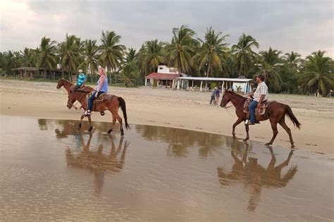 10 TOP Things to Do in Ixtapa - Zihuatanejo (2020 Attraction & Activity ...