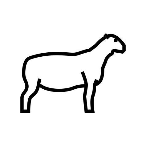 dorper sheep line icon vector illustration 10388499 Vector Art at Vecteezy