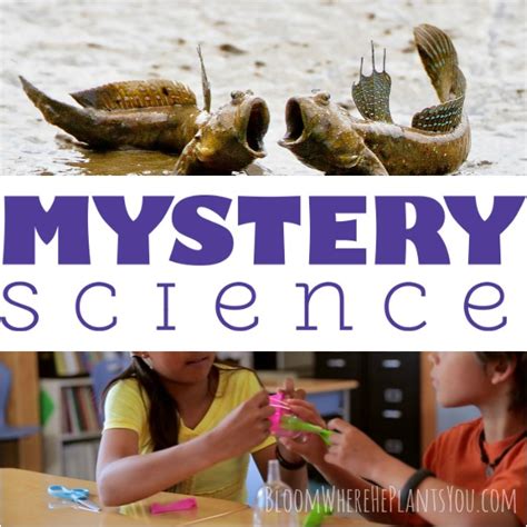 FREE Online Teaching Resource: Mystery Science