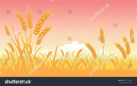 Wheat Farm Vector Image Stock Vector (Royalty Free) 1597737397 | Shutterstock