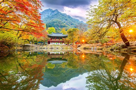 Autumn in Korea, the Best Season! Plan Your Trip for Autumn