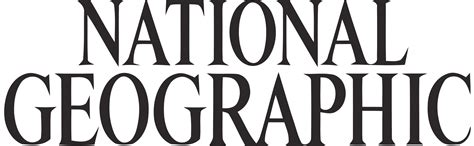 National Geographic Logo PNG Transparent National Geographic Logo.PNG Images. | PlusPNG