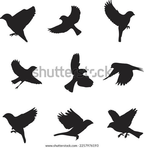 Flying Sparrow Silhouette: Over 4,505 Royalty-Free Licensable Stock Vectors & Vector Art ...