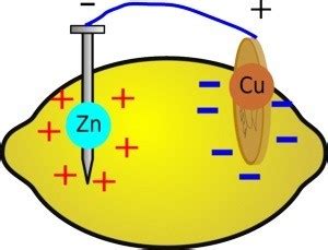 How to Make a Lemon Battery | Science Project Ideas