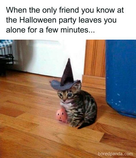 73 Hilarious Memes For People Who Are Way Too Into Halloween - Its Magazine