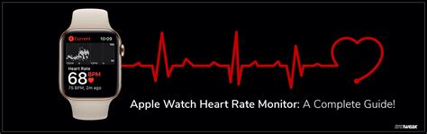 What to Expect from Apple Watch Heart Rate Monitor