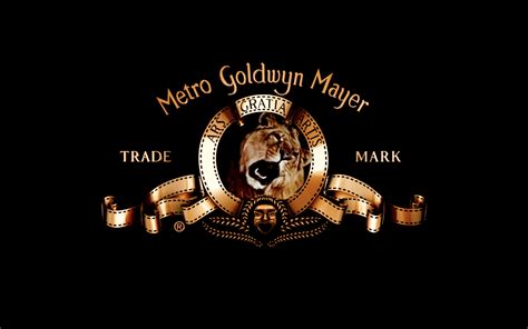 Image - MGM 2012.png | Logopedia | FANDOM powered by Wikia