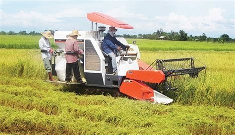 Modernisasi Pertanian Indonesia Menuju Lumbung Pangan Dunia - AgroIndonesia