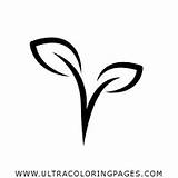 Crop Coloring Page  Ultra Coloring Pages sketch template