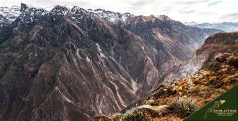 Colca Canyon Peru Guide: Tours, Hiking, Maps, Buildings, Facts and History - Evolution Treks Peru