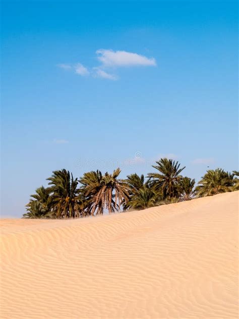 Sahara Desert at Douz in Tunisia Stock Image - Image of landscape ...