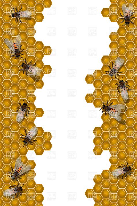 Bee Borders Clip Art Free Printable | Porn Sex Picture