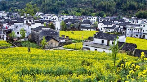 Visit Wuyuan: 2024 Travel Guide for Wuyuan, Shangrao | Expedia