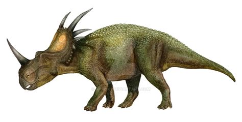 Styracosaurus | Dinosaurs - Pictures and Facts