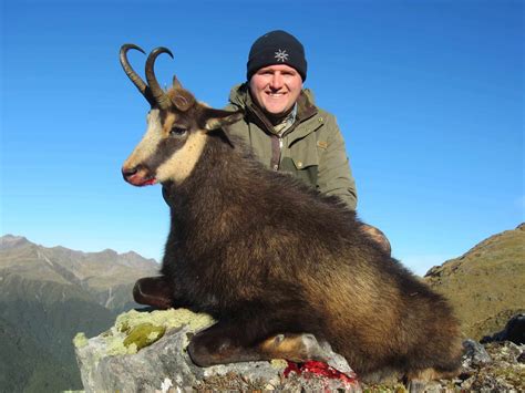 Chamois Hunting in New Zealand / South Pacific Safaris