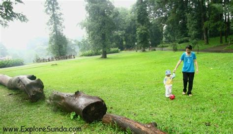 Bogor Botanical Garden | The Best Park for Picnic and Learning Botany