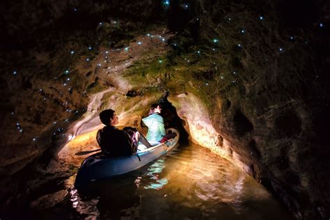 Glow Worm Kayak Tour | Rotorua Paddle Board