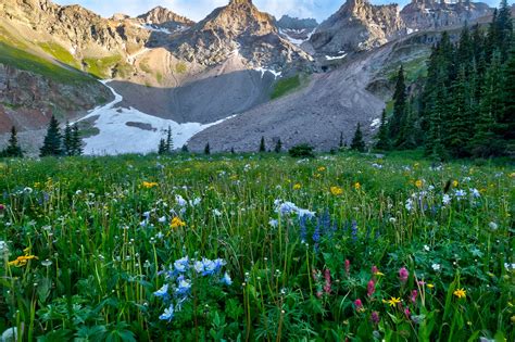 Grand Mesa Uncompahgre and Gunnison National Forests - Home