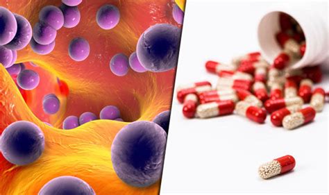 Antibiotic resistance treatment could save THOUSANDS of lives | Express.co.uk