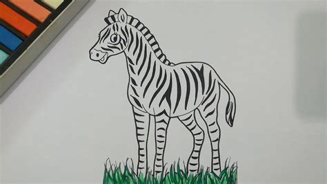 How To Draw A Zebra Really Easy Drawing Tutorial - vrogue.co