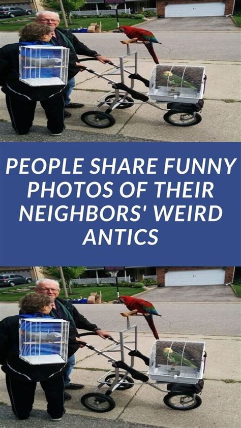 People Share Funny Photos of Their Neighbors' Weird Antics | Funny ...