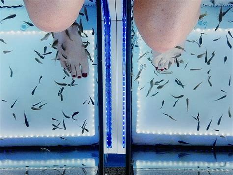 Fish pedicures: Safety, benefits, and ethics