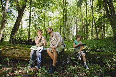 children and teacher in the wood - Stock Image - F003/8715 - Science Photo Library