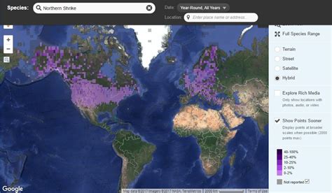 eBird_Report_SpeciesMap | The Test Garden