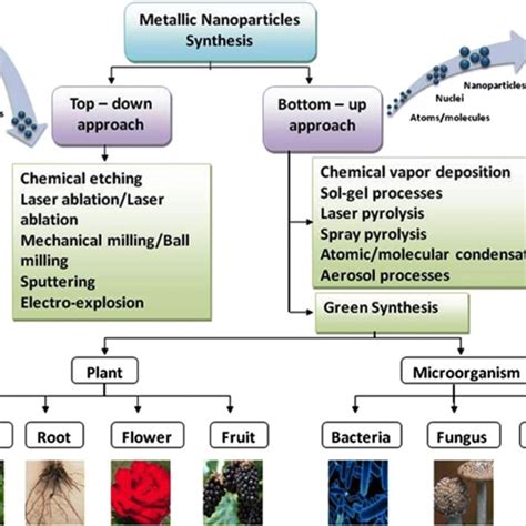 UV-visible spectra illustrating Chenopodium aristatum L. stem extract... | Download Scientific ...