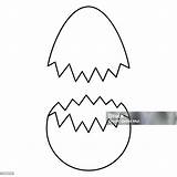 Cracked Eggshell Sketch Two Shells From A Chicken Egg Vector  sketch template