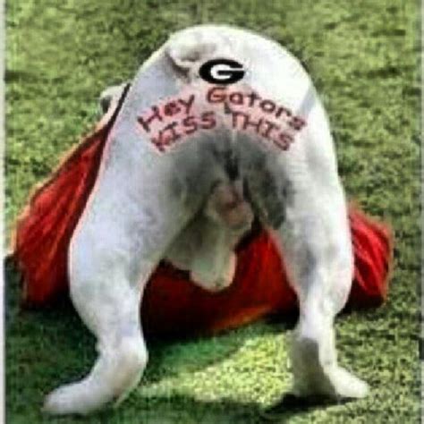 Photo by xraykicker | Georgia bulldog mascot, Georgia bulldogs football ...