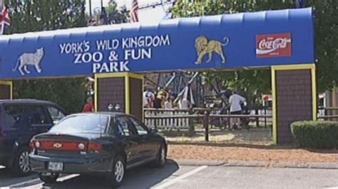 York's Wild Kingdom to open zoo, amusement park closed for 2020 season