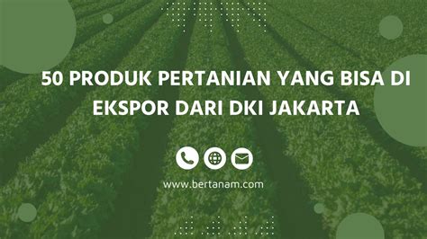 50 Produk Pertanian yang Bisa Di Ekspor dari DKI Jakarta - Bertanam