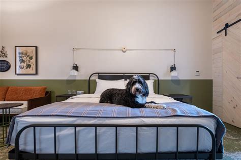 The Most Pet-Friendly Hotel in Every Southern State