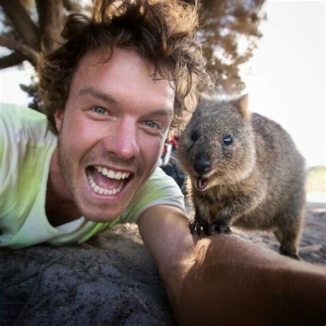 The 'Quokka Selfie'-Just Look At That Grin | Travels And Living