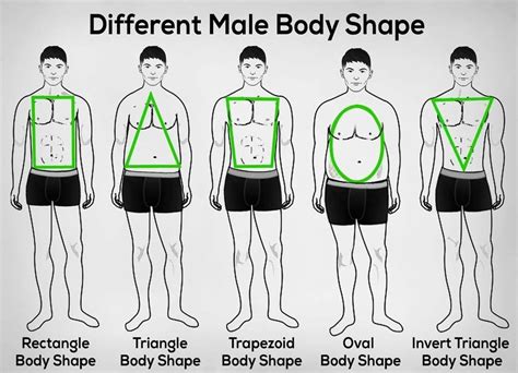 Pin on rapport | Mens body types, Male body shapes, Body shapes