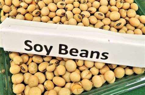 3 Common Myths About Soy, Debunked