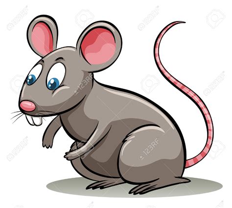 Rat clipart, Rat Transparent FREE for download on WebStockReview 2024