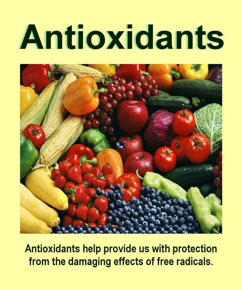 Antioxidants Usage in achieving optimium health and longevity | The Personal Longevity Program